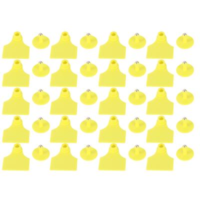 20 set di etichette auricolari vuote per l'identificazione del bestiame per capre, pecore, bovini, mucche, maiali, forniture agricole: