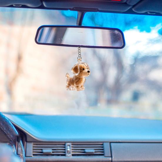Dog Hair Storage Bottle Pet Memorial Keychain Transparent Hair Locket