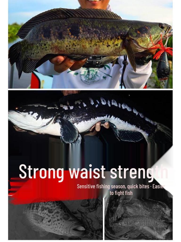 Portable Mini Telescopic Lure Rod: Japanese & Korean Design, Hard Smooth Float, Short Casting Section E18