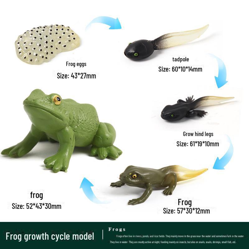 Children's Safari Dinosaur Animal Model Set