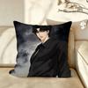 Manhwa LLOOKISM Cushion Cover Pillow Case Antidustmite Pillowcase Silky Short Plush Sofa Cushion Cover hot