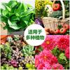 Nutrient Solution Universal Plant Concentrate Household Flower Potted Fertilizer