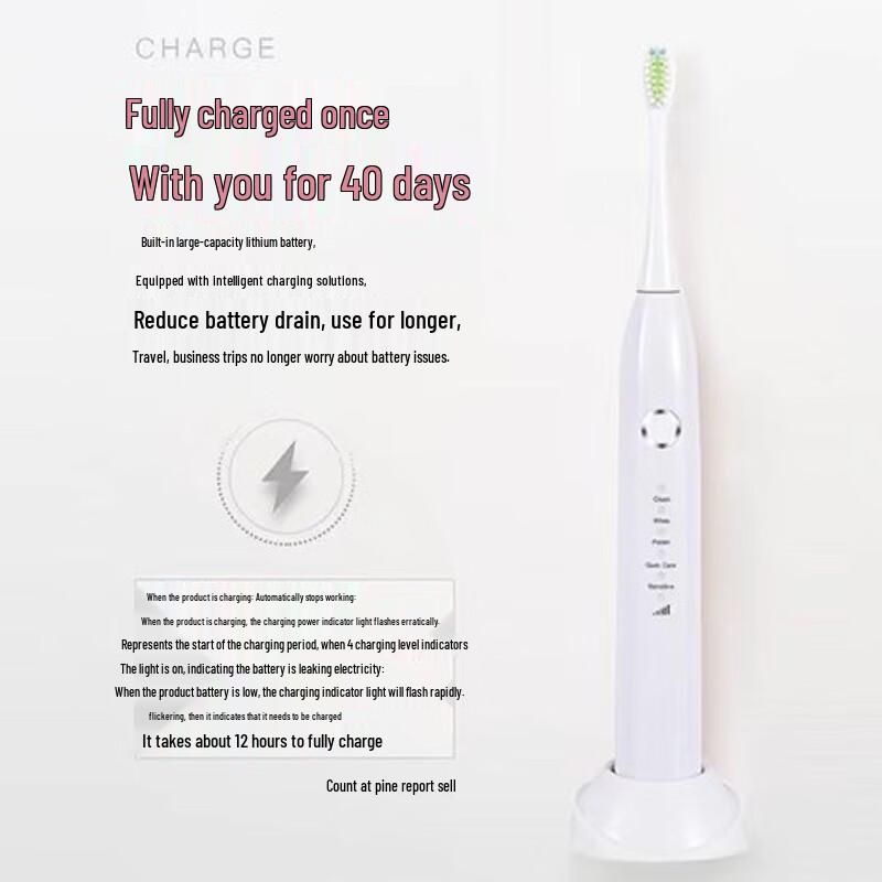 Shangheng SHZH-039 Sonic Electric Toothbrush CN plug (adapter included)