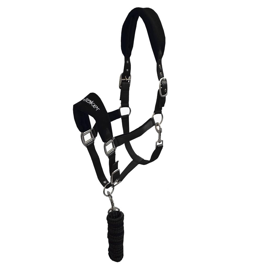 Whitaker Club Horse Headcollar and Leadrope