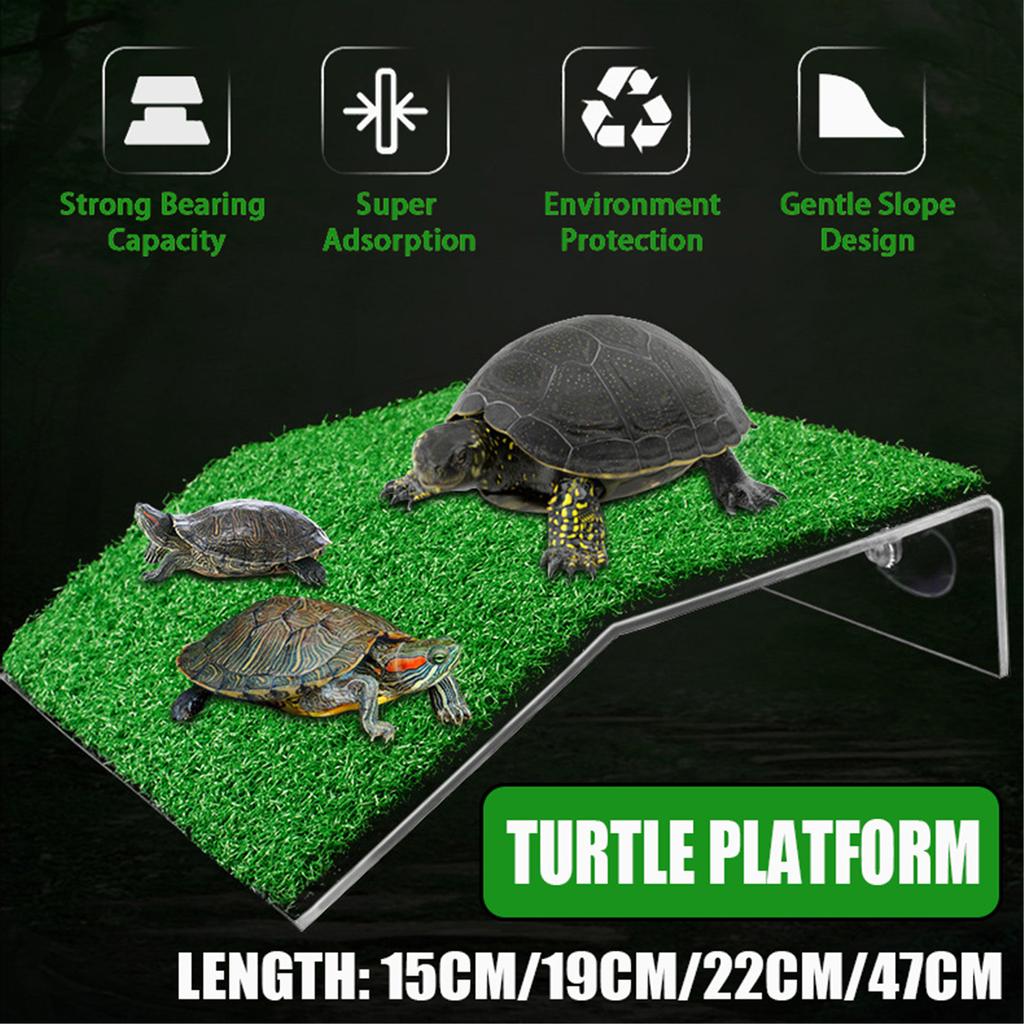 Reptiles plataforma con succión Plástico Tortuga Rana calentando Plataforma Con Rampa Reptiles plataforma con succión Plástico Tortuga Rana calentando Plataforma Con Rampa
