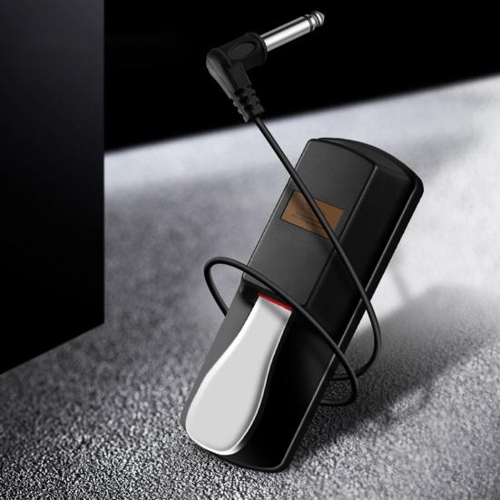 Sustain Pedal Non-slip Sound Enhancement Metal Professional Piano Keyboard Pedal for Beginner