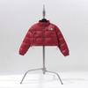 Women's 1984 North Face Down Jacket: Short, Thickened, Stand-Up Collar, Winter Streetwear