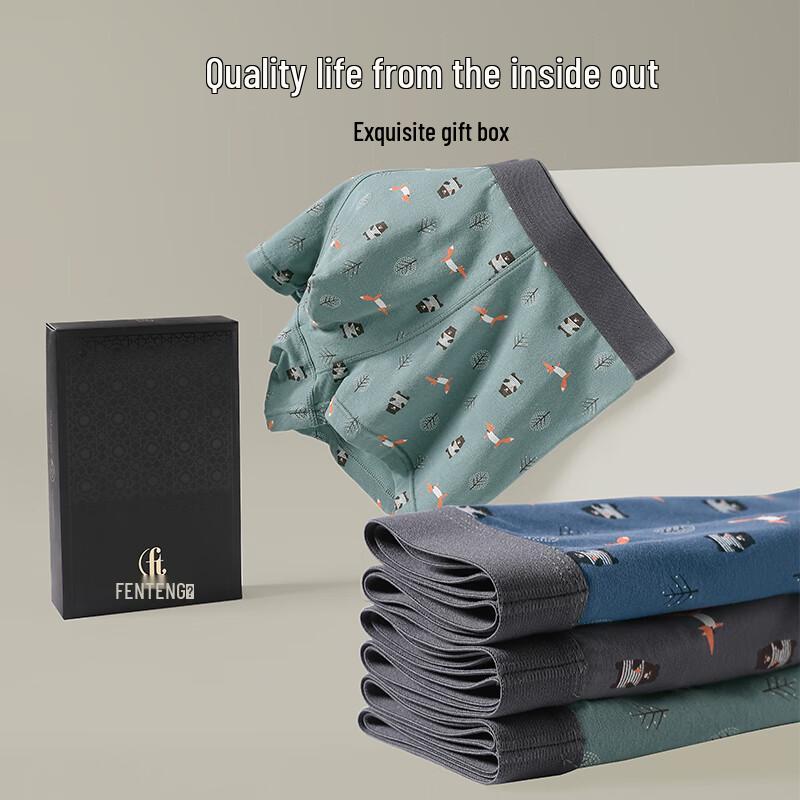 Fenteng Men's Breathable Cotton Boxer Briefs