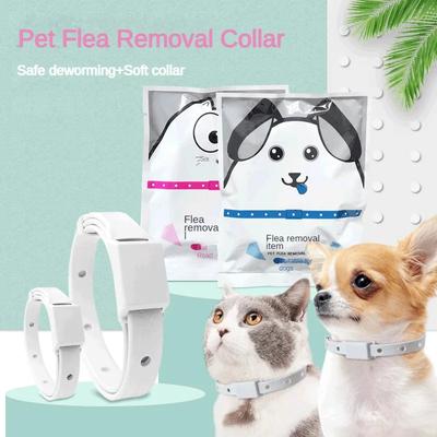 Anti Flea Tick Collar For Cat Small Dog Antiparasitic 8Month Protection Adjustable Puppy Kitten Collar Breakaway Pet Accessories