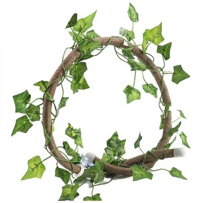 Ramo rampicante per rettili flessibile nella giungla, 3,28 piedi, in rattan, 1 pezzo, vite