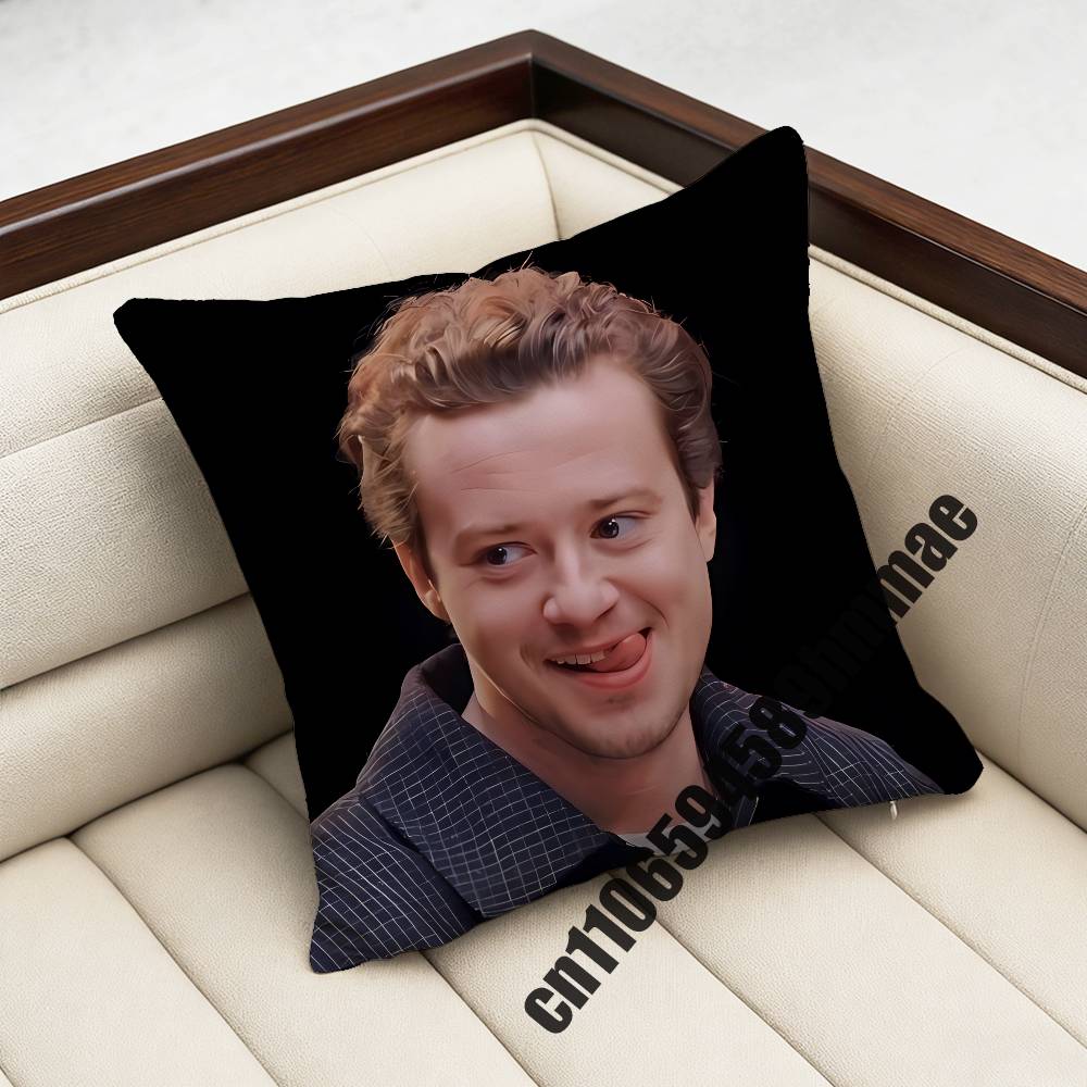 For 45X45Cm 40X40Cm British Actor J-Joseph Quinn Cat Throw Pillow Case Sham Square Car Pillowcase Pad Cushion Cover