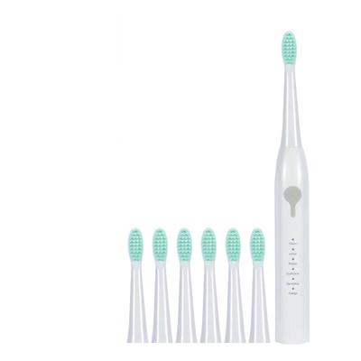 Shangheng Sonic Electric Toothbrush for Adults CN Plug (adapter Included)
