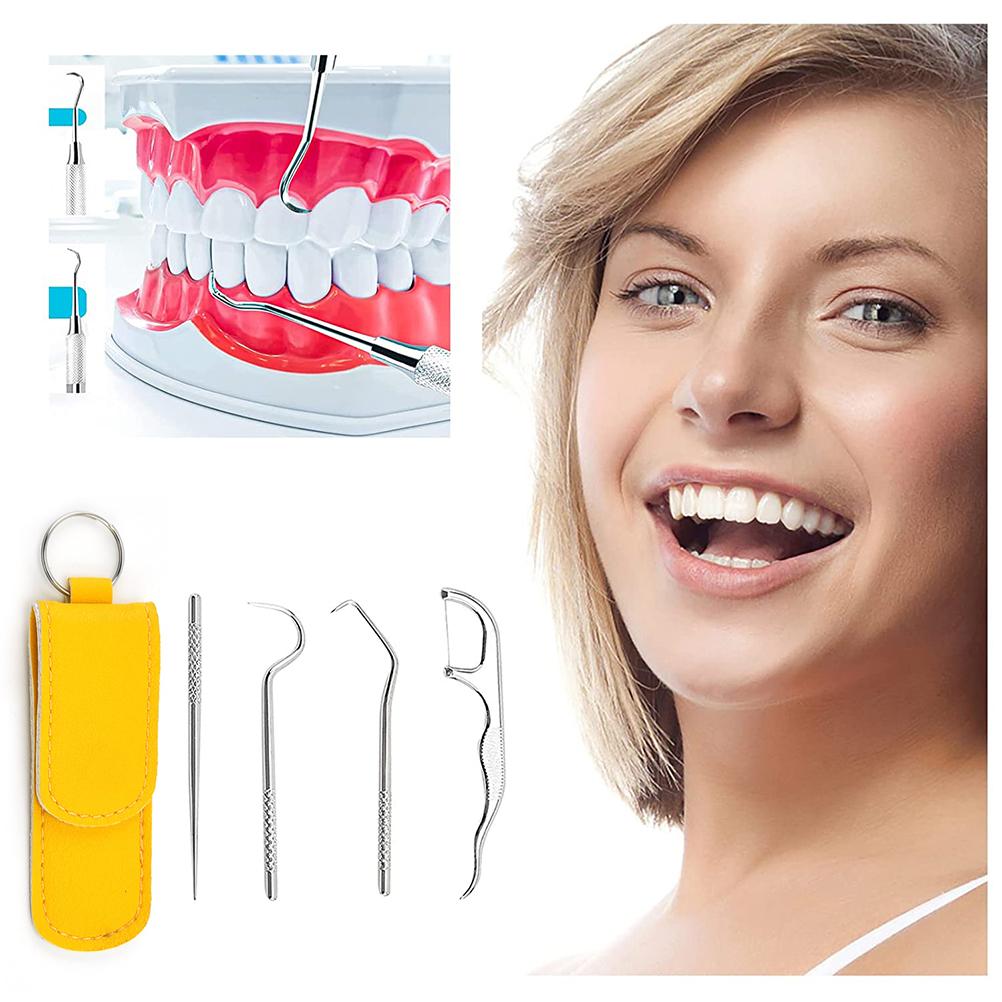 4 Pcs Toothpick Holder Set Portable Stainless Steel Oral Care Set Tartar Remover Tooth Cleaning Set