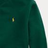 Polo Ralph Lauren Sweatshirt Embroidered Pony Logo Crew Neck Long Sleeve Kids tops Green 323772102-030