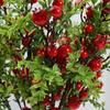 24 Fruit Artificial Pomegranate Branches Plastic Handmade Foam Fruits Branches Elegant Realistic Simulation Pomegranate Fruit