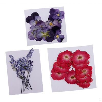 32Pcs Dried Pressed Flowers For