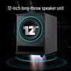 SAST Professional 12-inch All-in-One Home Karaoke System CN Plug (adapter Included)