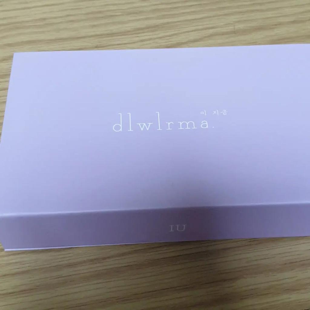 IU Lee Ji-geum Concert 10th Anniversary Goods Badge dlwlrma