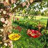 Heart-shaped Bird Feeder Outside Hummingbird Feeder, Weather-proof Metal Butterfly Bath, Bath Hanging Feeding Bowl for Outdoor Garden Patio Yard