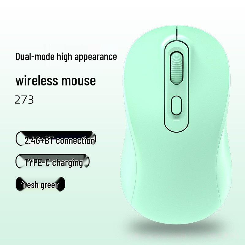 Wireless Bluetooth Dual-Mode Silent Gaming & Office Mouse with Type-C Charging