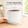 (Pack of 5 6 Inch Plastic Flower Pots for Indoor & Outdoor Terrace
