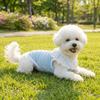 Thin Breathable Mesh Dog Vest Round Neck Dog Cooling Vest Cooling Pet Vest  Photography