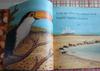 [USED] Two by Two by John Winch English Picture Books