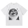 Y2k Funny Cat Meme T Shirt 2026 Unisex Unisex O Neck Short Sleeve Harajuku Anime Cartoon Graphic Tee Streetwear Casual Tops