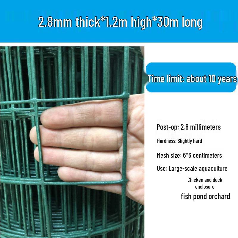 Rustproof Green Plastic-Coated Mesh Wire Fence for Chicken Enclosure