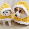 Dog Nightgown Teddy Dog Blanket Cape Pet Autumn and Winter New Home Cat Home Warm Products
