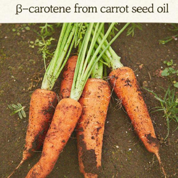Skinfood Karotten-Carotin-Feuchteffektor 52 ml