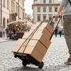 Retractable Folding Hand Truck Labor-Saving Luggage Cart Stable Shopping Cart  Moving