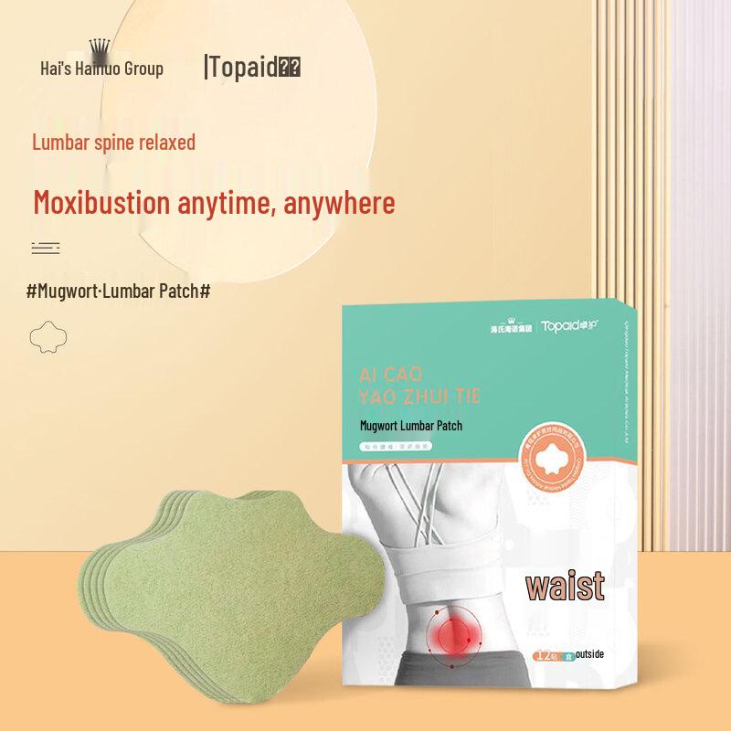 Wormwood Lumbar Pain Relief Patches