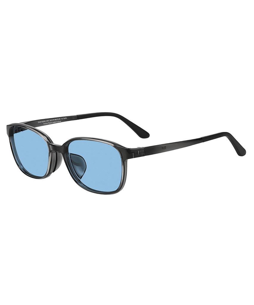 Wellington-style 2-way Sunglasses for Pollen and Droplet Protection (detachable Hood) (Gray (Clear) - ZN261G0513A1)  PROTECT 2WAY  Pollen Glasses,