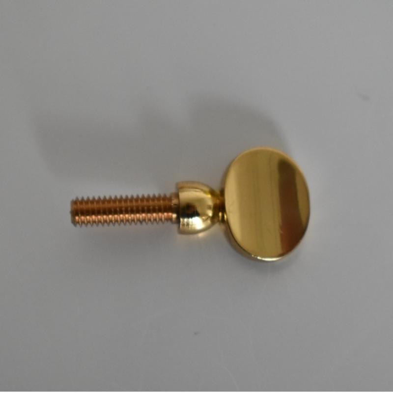 Gold Copper Clarinet Saxophone Sax Neck Tightening Screws Soprano Alto Tenor Woodwind Instrument Parts Pack of 10