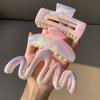 Rainbow Color Large Coiled Hair Claw Shark Clip Strong Hold Hair Clamp Niche Hair Grab Sweet Trendy Women's Hair Accessories