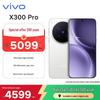 Vivo X300 Pro Smartphone (CN Version)