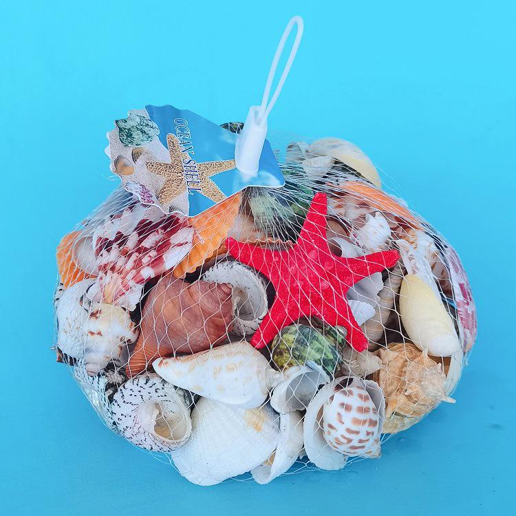 Conch Shells & Starfish for Hermit Crabs: Aquarium Decor & Drift Bottle Accessories