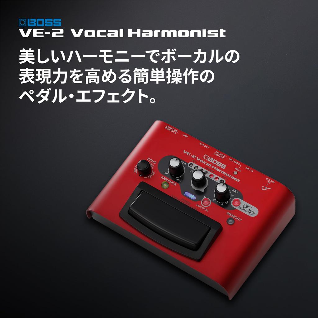 BOSS Vocal Harmonist VE-2