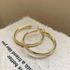 Stylish Silver Needle Round Hoop Earrings: Simple, Fashionable, Versatile, with a Light Luxury Feel
