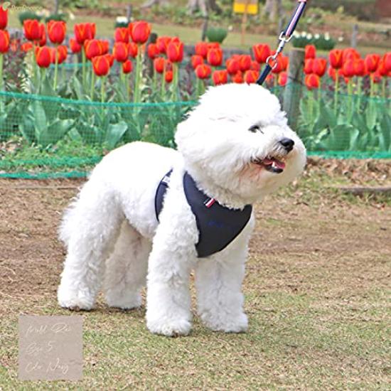 For slip easy to put on and take with safety antibacterial and deodorizing Super Harness and Lead Tricolor Neo For active timid dogs with weak trachea