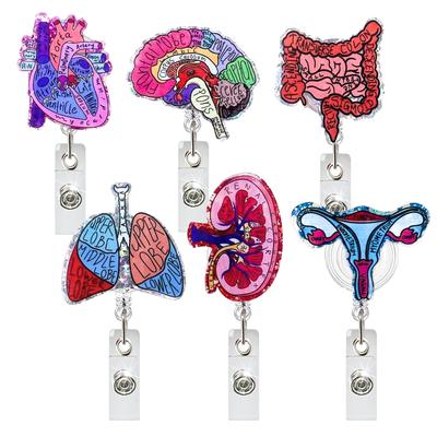 Acrylic Heart Lung Brain Kidney Retractable Pull Badge Reel For Nurse Doctor Id Lanyard Name Tag Key Ring Chain Clips Hospital