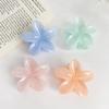 Bofeiya Plumeria Candy Color Hair Clip - Cute and Sweet Heart-Shaped Hair Accessory for Girls