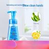 Blue Moon Foaming Kitchen Hand Soap