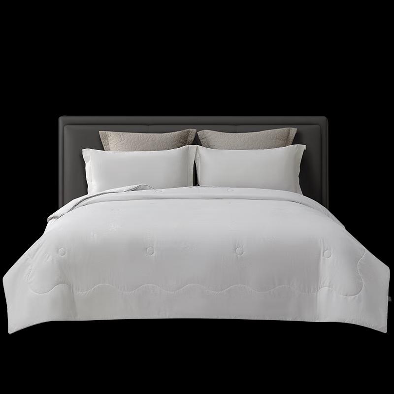 

Xifuni Lanyue Mulberry Silk Quilt