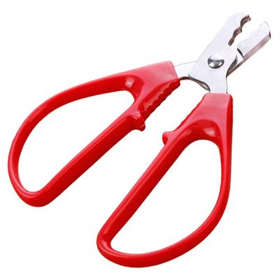 Walnüsse Melonenkern Zange Werkzeugöffner Edelstahl Peeling Clip Stripping Rote Sonnenblume Multi-Use Cracking