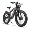 RICH BIT C01 Elektrisches Mountainbike, 48V 20AH Akku, Vollfederung, Shimano 7-Gang