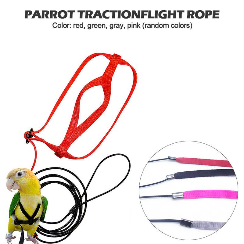 parrot harness and leash