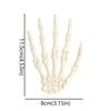 Scary Fake Skeleton Hands Realistic Spirit Claw Halloween Skeleton Hands  Halloween Themed Party
