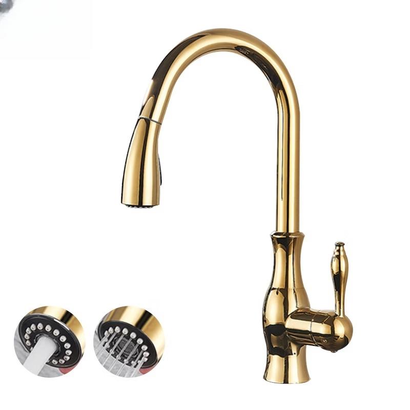 

TLXT Gold Hot & Cold Kitchen Faucet